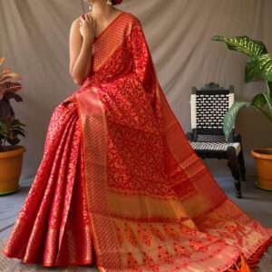Patola saree