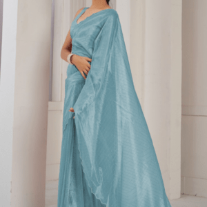 organza saree