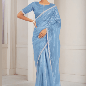 organza saree